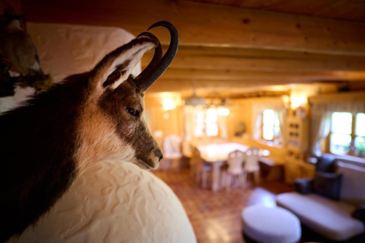 Holiday Chalet "Alpine Dreams" With Private Wellness Solcava Ngoại thất bức ảnh