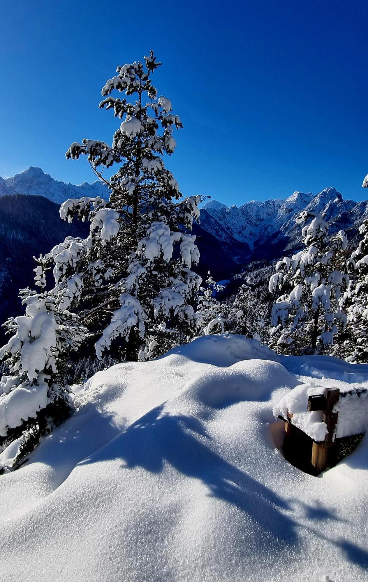 Holiday Chalet "Alpine Dreams" With Private Wellness Solcava Ngoại thất bức ảnh