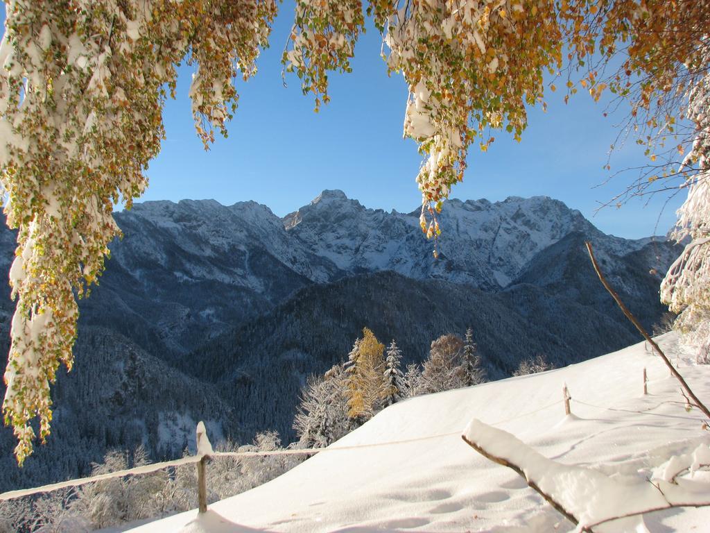 Holiday Chalet "Alpine Dreams" With Private Wellness Solcava Ngoại thất bức ảnh