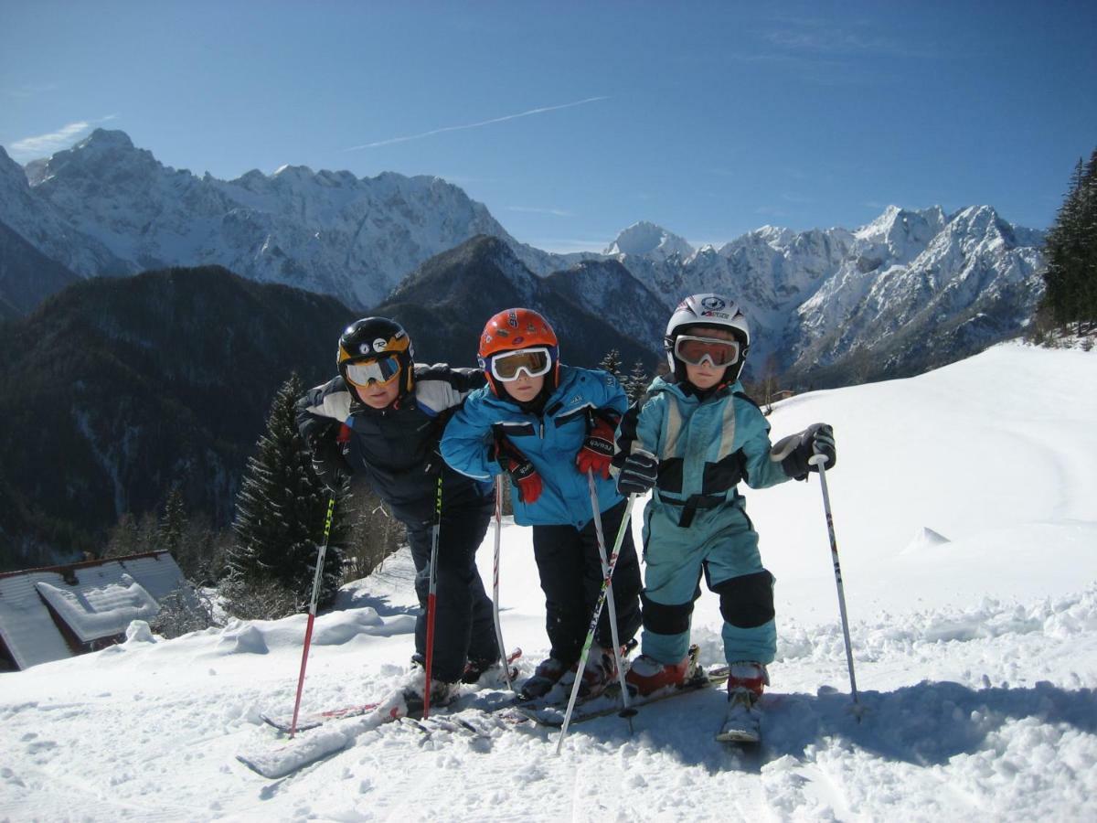 Holiday Chalet "Alpine Dreams" With Private Wellness Solcava Ngoại thất bức ảnh